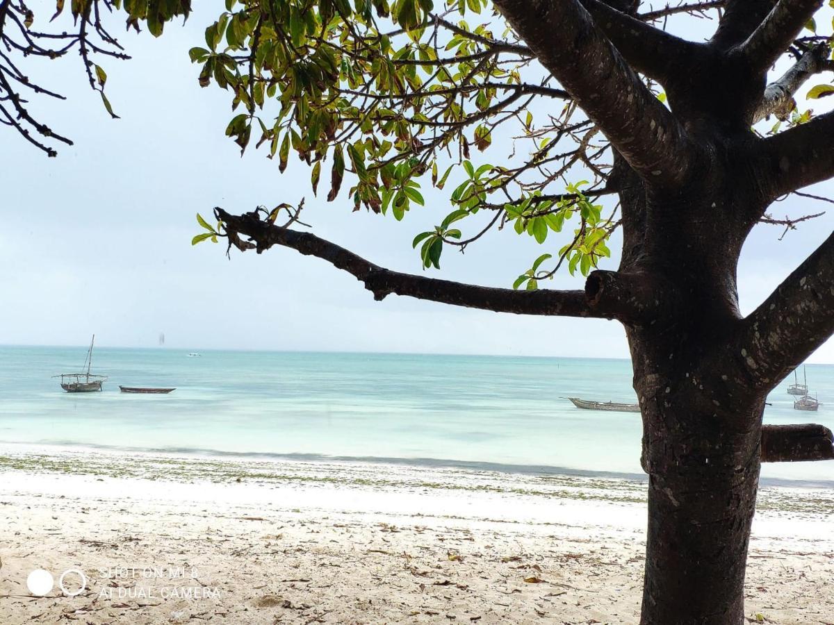 Aurora Beach Hotel Nungwi Eksteriør bilde