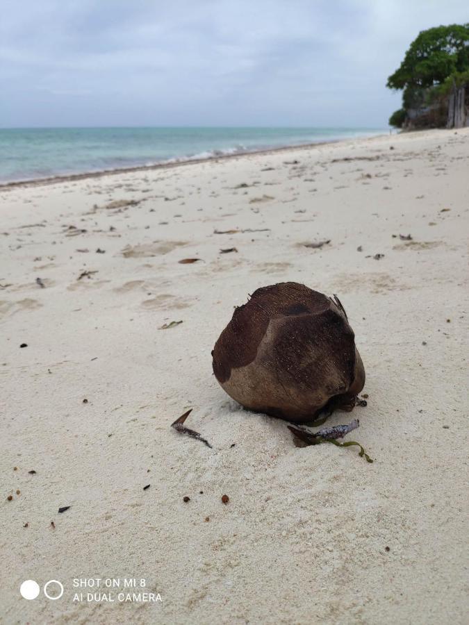 Aurora Beach Hotel Nungwi Eksteriør bilde