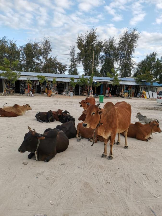 Aurora Beach Hotel Nungwi Eksteriør bilde